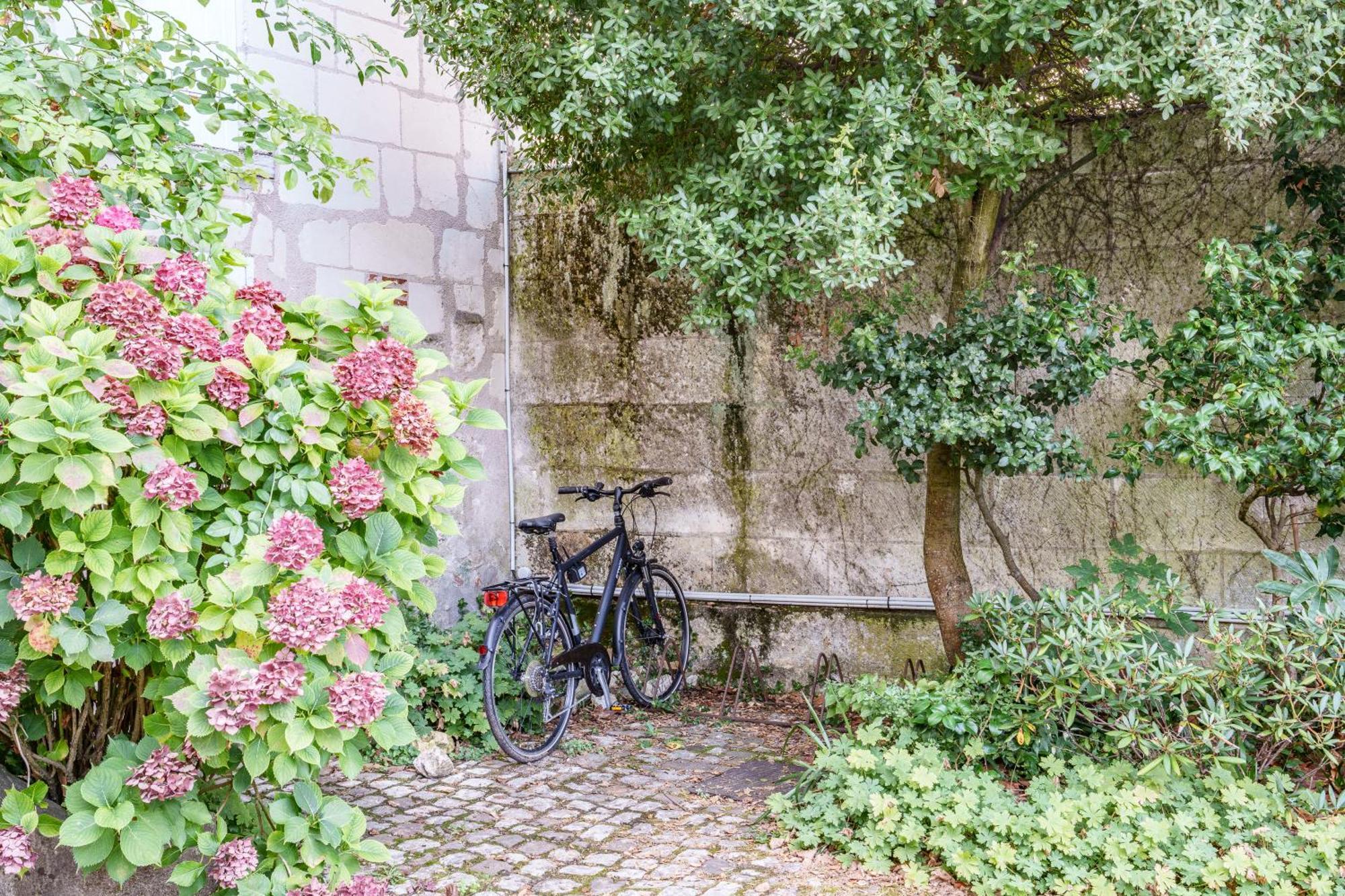 Appartement Raffine Vue Cathedrale, Jardin, Wifi Tours Eksteriør bilde